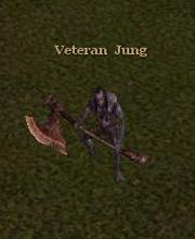 Veteran Jung